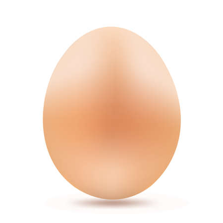 yellow egg on whiteのイラスト素材