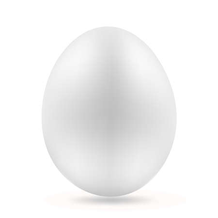 white egg on whiteのイラスト素材