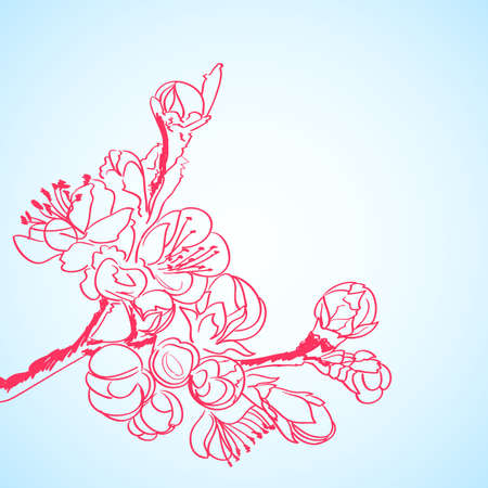 background with red sakura flowersのイラスト素材