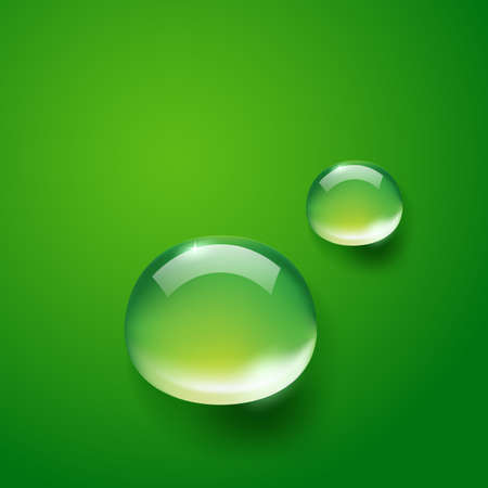 water drops on green のイラスト素材