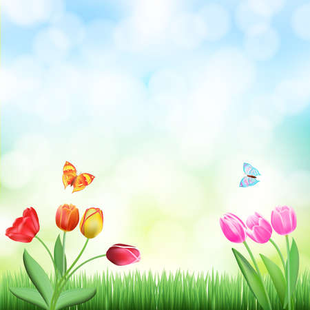 spring background with grass,tulips and butterfliesのイラスト素材