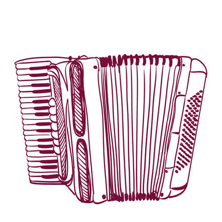 hand drawn accordion on whiteのイラスト素材