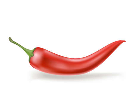 red hot chili pepper on whiteのイラスト素材