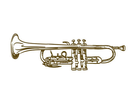 hand drawn trumpet on whiteのイラスト素材