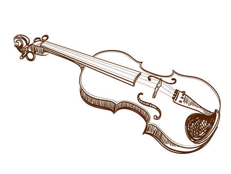 hand drawn violin on whiteのイラスト素材