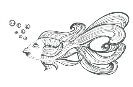 goldfish drawing on whiteのイラスト素材
