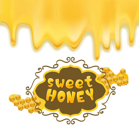 melting honey and frame with honeycombs. vector illustrationのイラスト素材