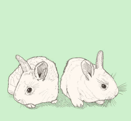 two bunnies drawingのイラスト素材
