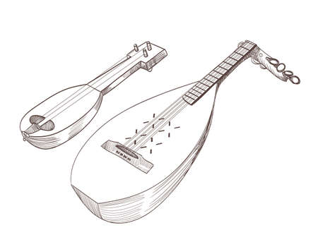 cobza musical stringed instruments drawingのイラスト素材