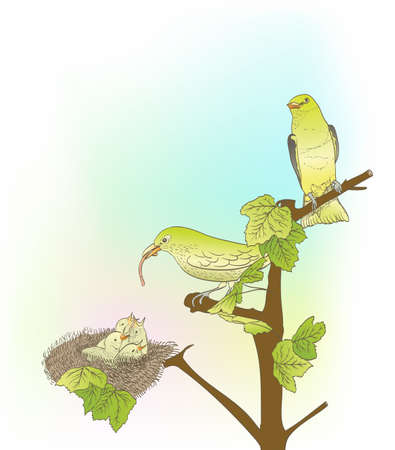hand drawn little green birds feeding their young in the nestのイラスト素材