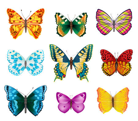 set of various colorful butterflies with open wingsのイラスト素材