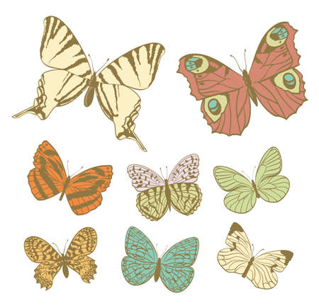 set of various butterflies in retro colorsのイラスト素材