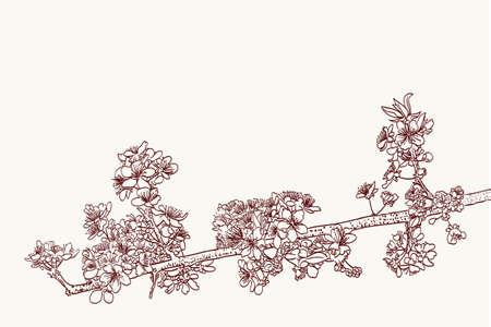 stylized sakura flowers drawing in two colorsのイラスト素材