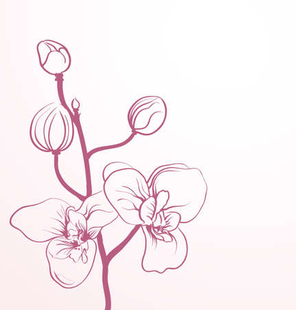 spring flowers in line-art styleのイラスト素材