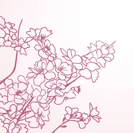 red sakura flowers anstract linesのイラスト素材