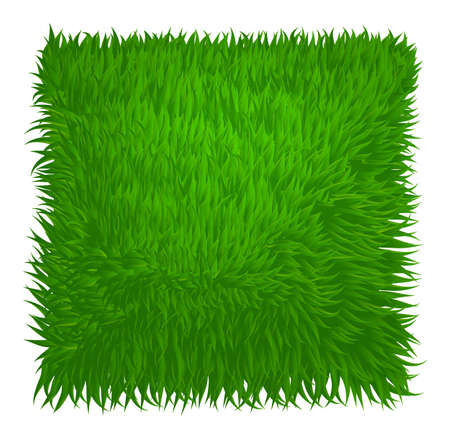 Green grass texture rectangle isolated on white. Vector illustrationのイラスト素材
