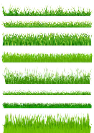 Green grass set. vector illustrationのイラスト素材