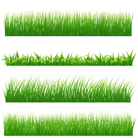 Green grass borders set on white. Vector illustrationのイラスト素材
