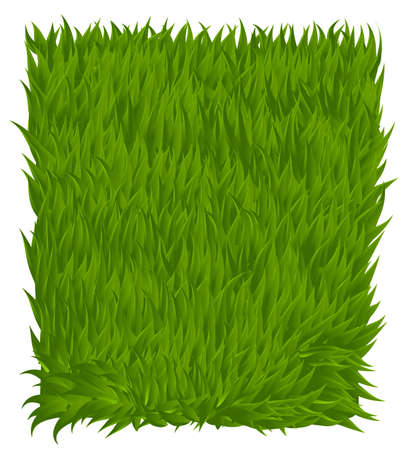 Green grass texture rectangle isolated on white. Vector illustrationのイラスト素材