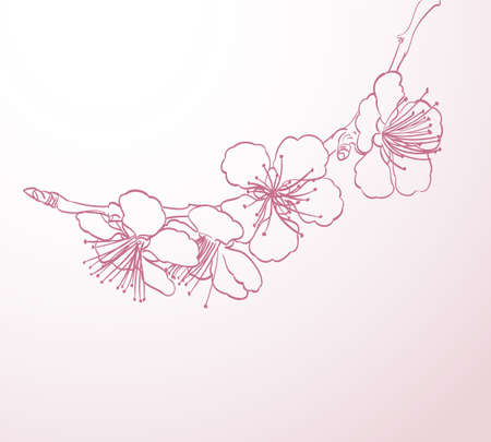 blossoming tree flowers line art hand drawing. spring stylish background with pink flowers outline vectorのイラスト素材