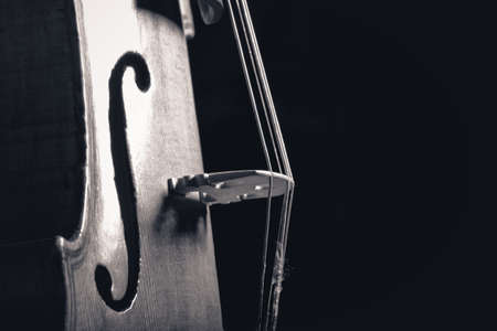violin closeup photo on dark backgroundの写真素材