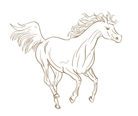 running horse outline in line art styleのイラスト素材