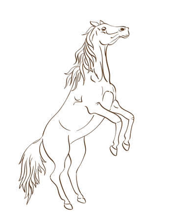 Rearing up horsein line art styleのイラスト素材