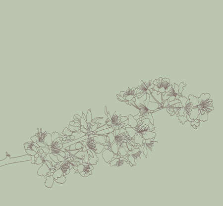 blossoming tree line art hand drawing. spring stylish background with flowers outlineのイラスト素材