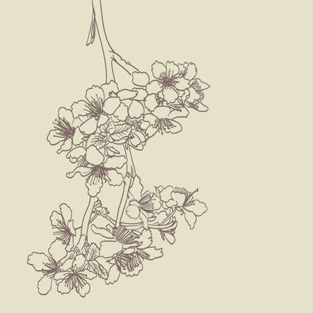 blossoming tree line art hand drawing. spring stylish horizontal background with plum flowers outlineのイラスト素材