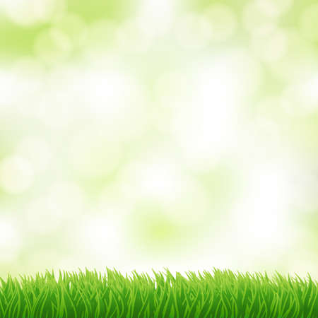 green grass background with blurry light in the skyのイラスト素材