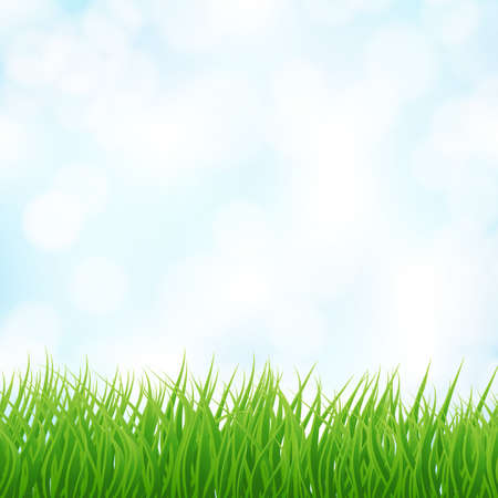 light blue sky and green grass background.のイラスト素材