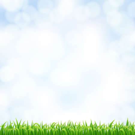 blurry sky background with green grass.のイラスト素材