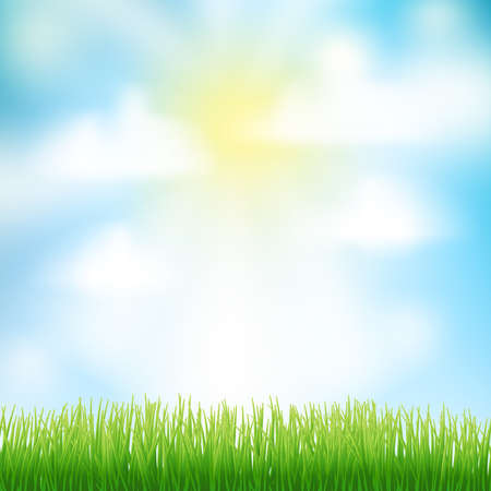 green grass and sun in the clouds on blue sky.のイラスト素材