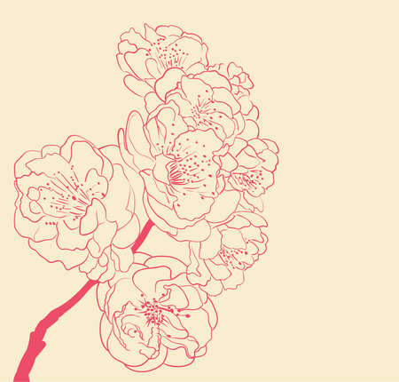 blossoming tree line art hand drawing. spring background with flowers outlinesのイラスト素材
