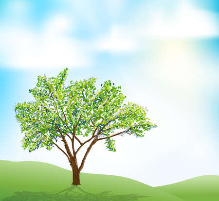 a tree on hill and blue sky with clouds illustration. vectorのイラスト素材