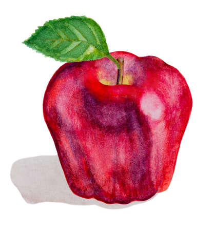 red watercolor apple fruit with green leaf on whiteの写真素材
