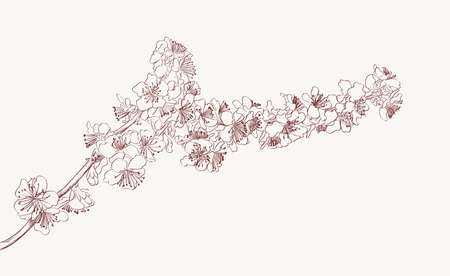 blossoming tree branch hand drawing sketch. spring stylish background with flowers vectorのイラスト素材