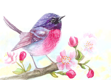watercolor bird sitting on blossom flowers tree branchの写真素材