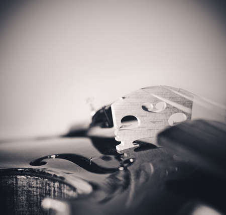 Violin details background. toned photoの写真素材