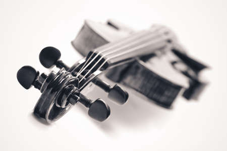 violin neck details. toned photoの写真素材