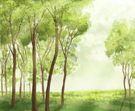 trees with light rays abstract background の写真素材