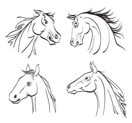 horse head sketches on white. vector illustrationのイラスト素材
