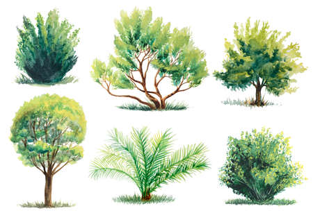 set of watercolor trees and bushes isolated on whiteの写真素材