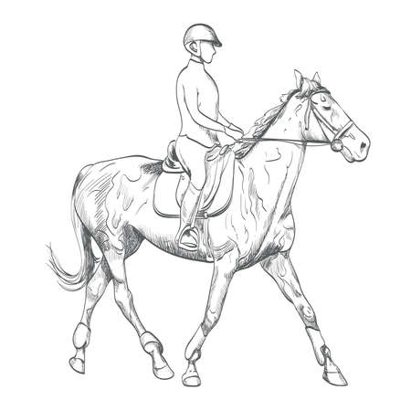 Hand drawn horse riding.のイラスト素材