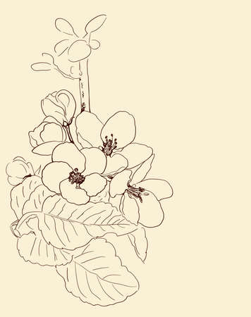 hand drawn outline of spring blossom. sakura theme vector illustrationのイラスト素材