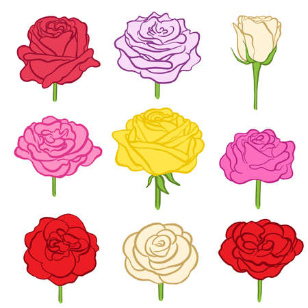 set of hand drawn roses on white. various color flowers as design elements. vector illustrationのイラスト素材