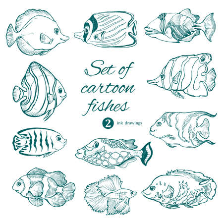 set of saltwater aquarium fishes on white. vector ink drawingのイラスト素材