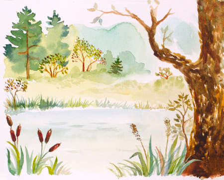 watercolor illustration with a lake, reeds, trees and bushesの写真素材