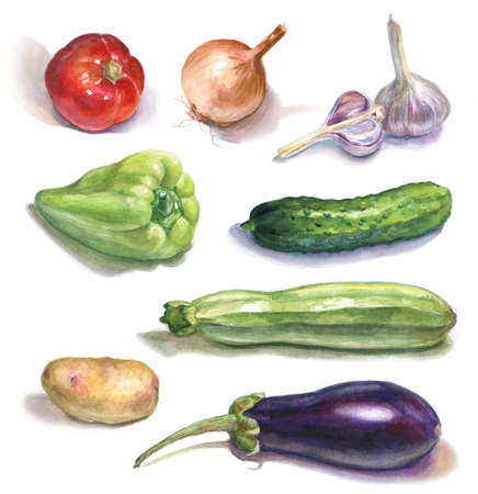 set of watercolor vegetables on whiteの写真素材