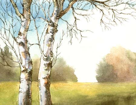 watercolor and ink autumn landscape with birch trees. hand-drawn illustrationの写真素材